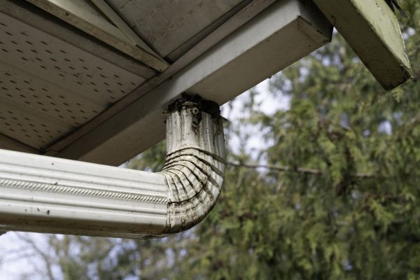 Cost of Roof Drain Replacement in Port Angeles