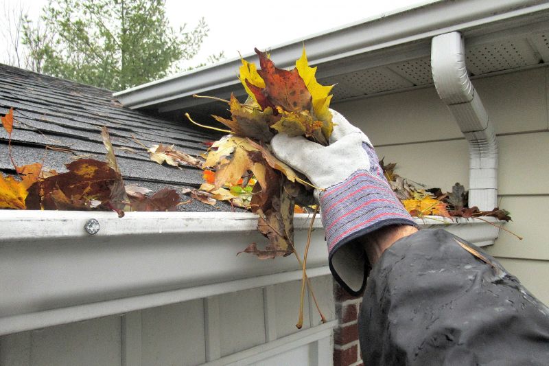 Timely Gutter Maintenance